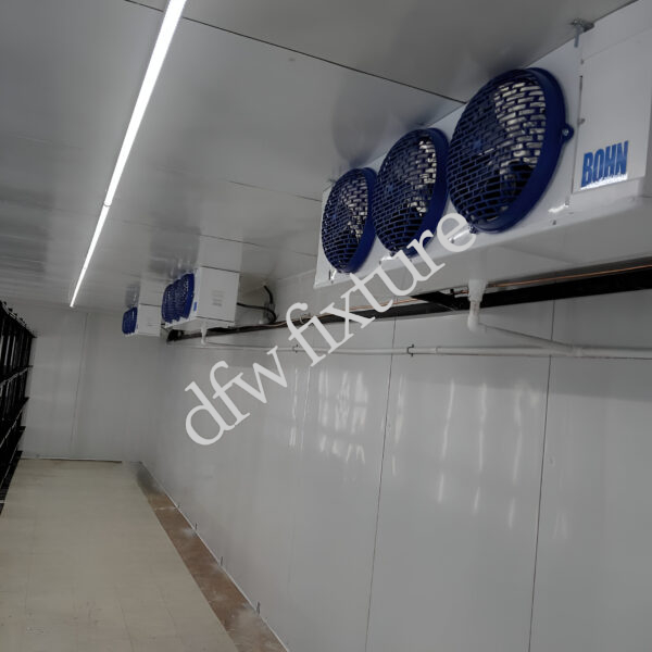 Custom Walk in Freezer - Image 2